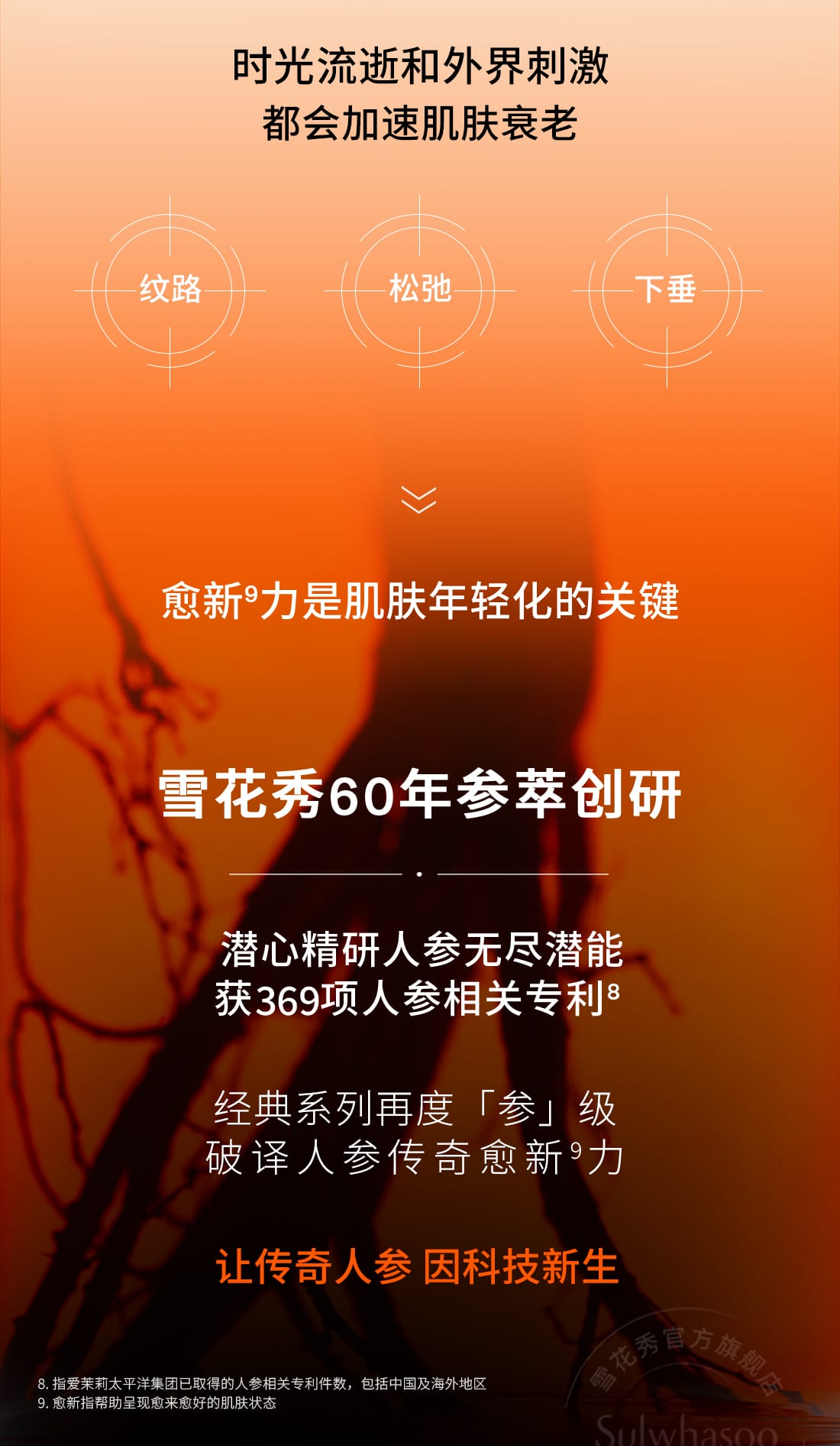 第六代 博天堂官方网站人参霜