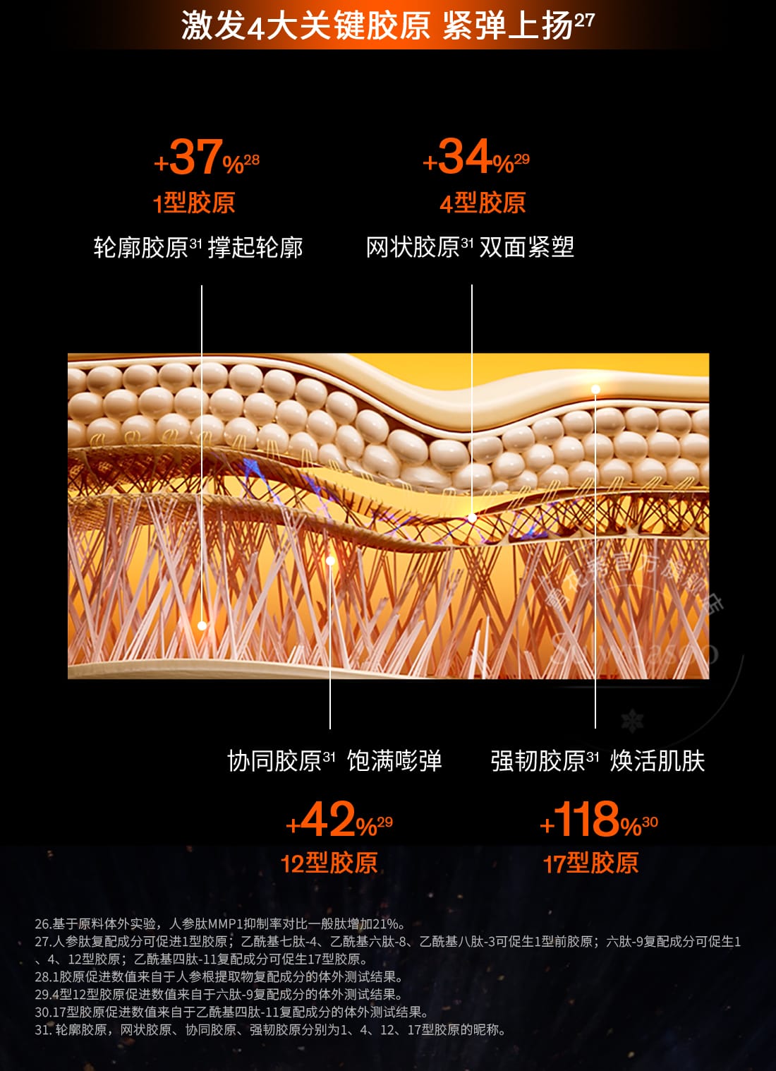 第六代 博天堂官方网站人参霜